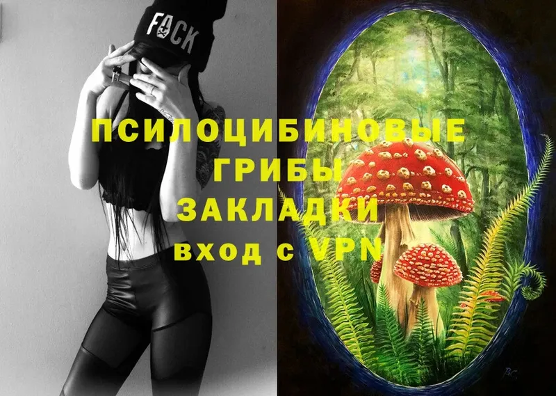 гидра   Бобров  Галлюциногенные грибы Magic Shrooms 